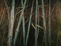 Neal Adams | Bamboo Groove
