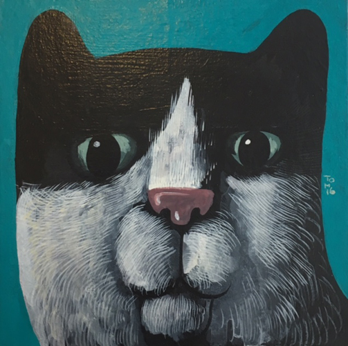 Tomoya Moriizumi | A Cat